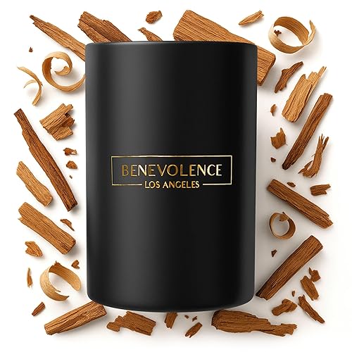 Benevolence LA Santal Scented Candle  10 oz Scented Candles for Home  Natural Soy Candles Gifts for Women, Aromatherapy Candle,